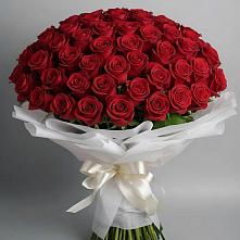 Букет 101 Красная роза Блэк Мэджик в Лисках