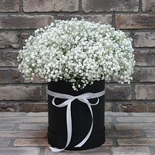 Цветочная композиция из Гипсофила в шляпной коробке в Лисках