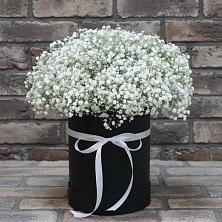 Цветочная композиция из Гипсофила в шляпной коробке в Лисках
