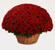 Премиум букет из: Розы в Лисках