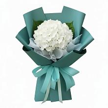 Букет цветов из:  Гортензия в Лисках
